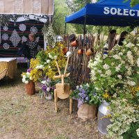 Zobacz w powiększeniu: Święto Parków Krajobrazowych Województwa Lubelskiego pod hasłem “Odkrywamy Pradolinę Wieprza” (12)